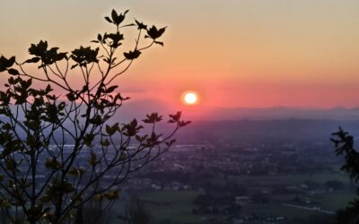 Pilgerreise nach Assisi